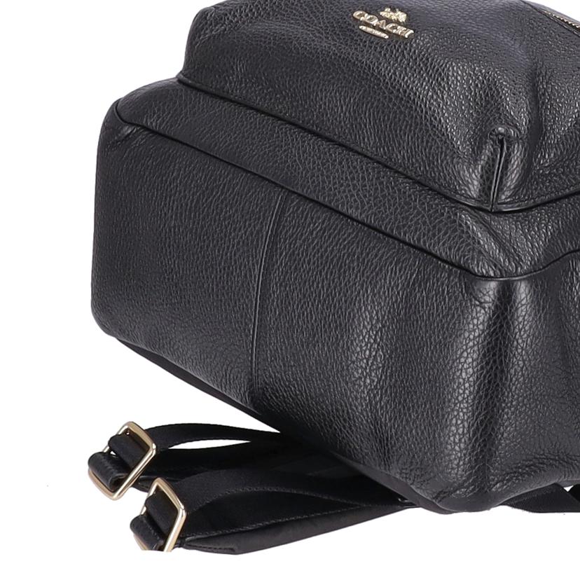 COACH コーチ/レザーバックパック/F30550//B20**/ABランク/93