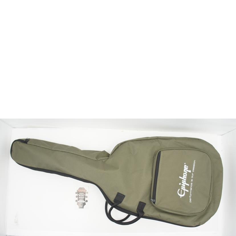 EPIPHONE エピフォン/エレアコギター アコースティックギター/hummingbird PRO//ABランク/75