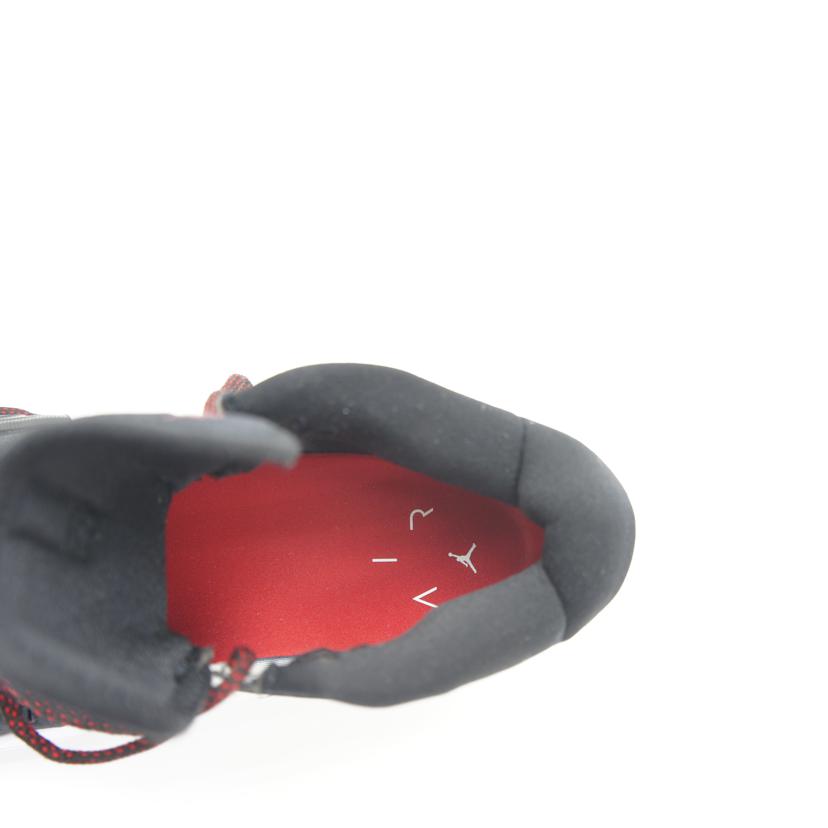 NIKE ナイキ/JORDAN ZOOM SEPARATE PF/DH0248-001//Aランク/09