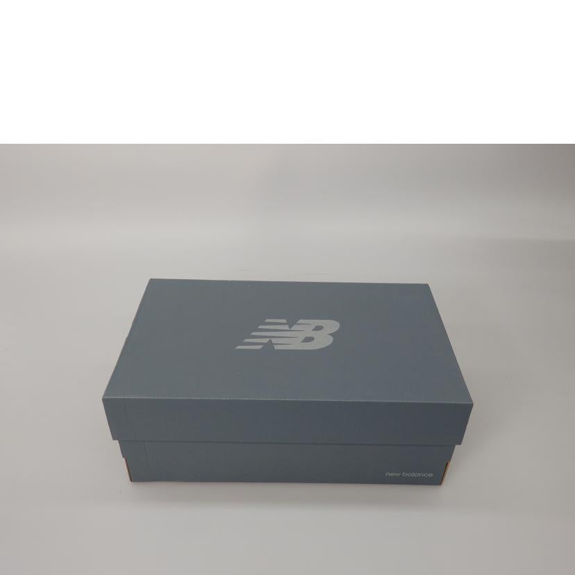 NEW BALANCE ニューバランス/Fresh Foam/UA700OW1//SAランク/76