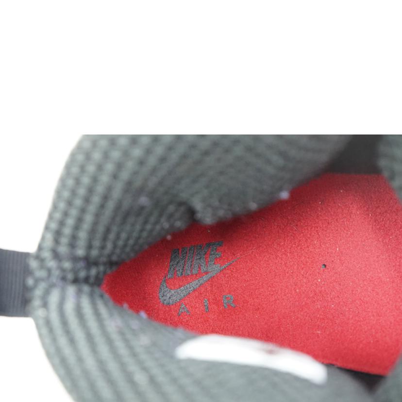 NIKE ナイキ/NIKE AIR JORDAN 10 RETRO 28.0/310805-002//ABランク/67