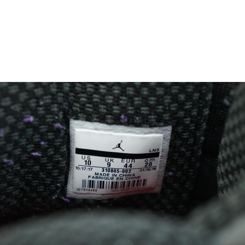 NIKE ナイキ/NIKE AIR JORDAN 10 RETRO 28.0/310805-002//ABランク/67