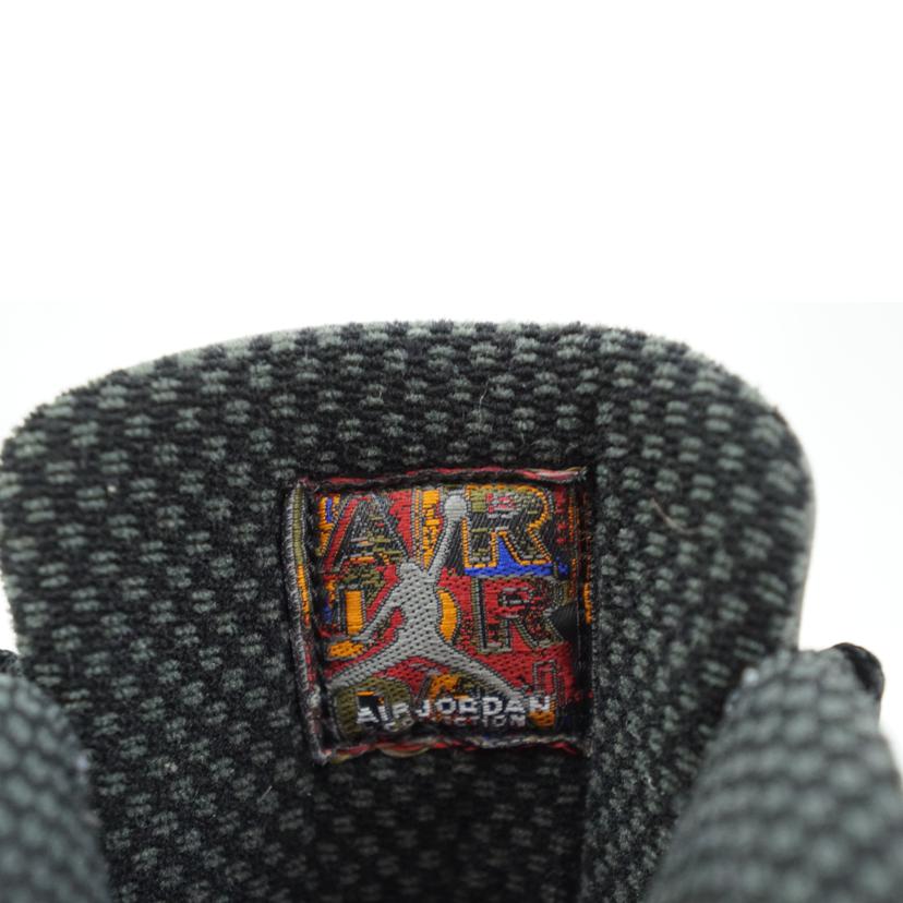 NIKE ナイキ/NIKE AIR JORDAN 10 RETRO 28.0/310805-002//ABランク/67