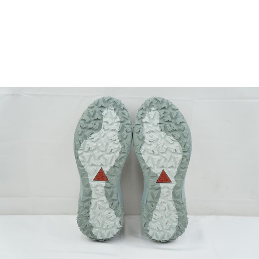 NIKE ナイキ/NIKE ACG MOUNTAIN FLY 2 LOW GTX 28.0/HF6245-003//Aランク/67