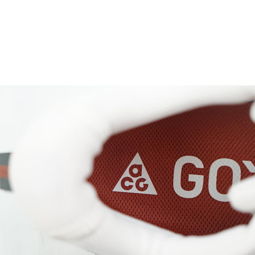 NIKE ナイキ/NIKE ACG MOUNTAIN FLY 2 LOW GTX 28.0/HF6245-003//Aランク/67