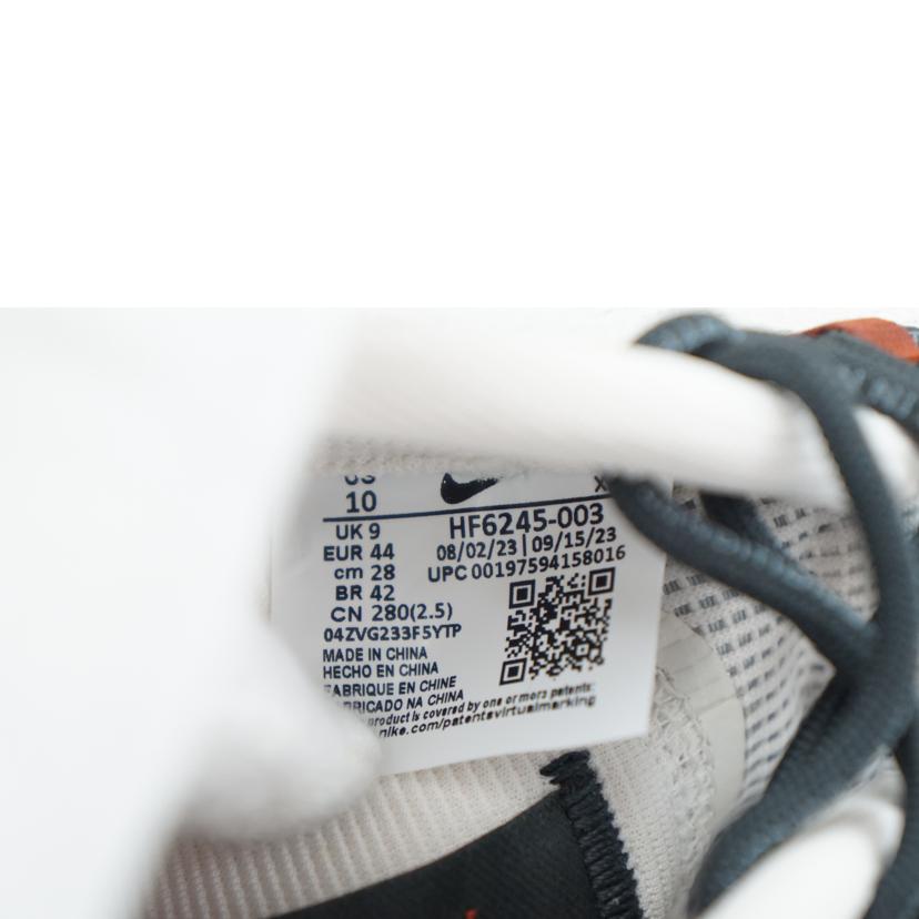 NIKE ナイキ/NIKE ACG MOUNTAIN FLY 2 LOW GTX 28.0/HF6245-003//Aランク/67