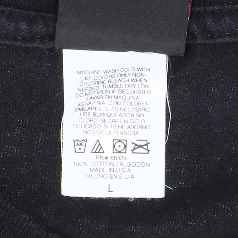 GIANT MADE IN USA/メタリカ ツアーT USA製/88434//SAランク/75
