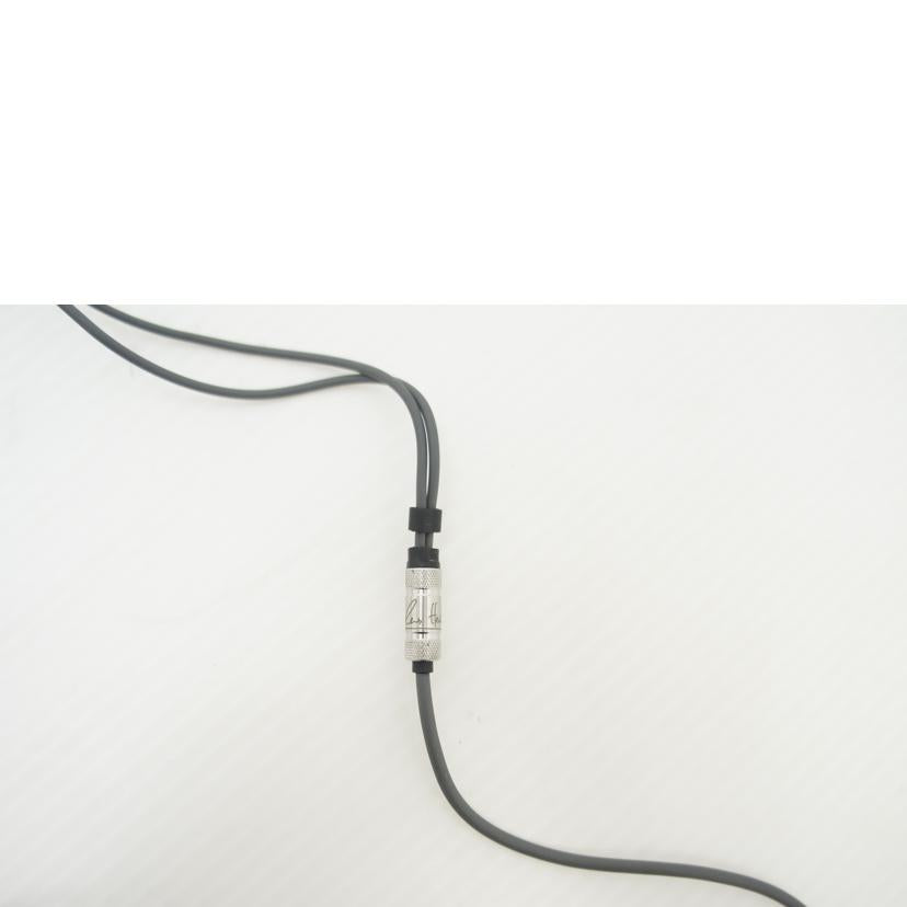 RHA/イヤホン/T10//ABランク/75