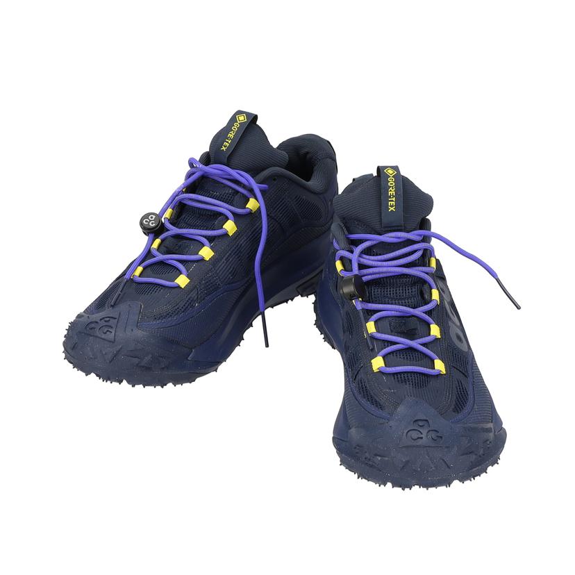 NIKE ナイキ/ACG マウンテン フライ 2 ロー/HF6245-400//ABランク/24