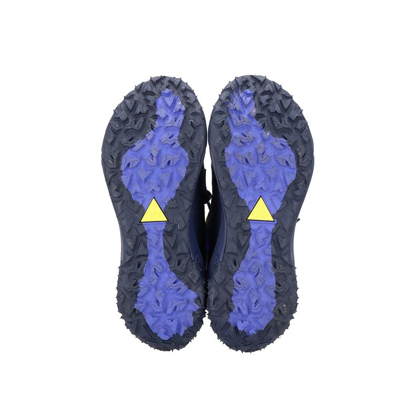 NIKE ナイキ/ACG マウンテン フライ 2 ロー/HF6245-400//ABランク/24