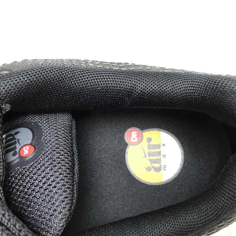 NIKE ナイキ/AIR MAX DN/DV3337-008//Aランク/51