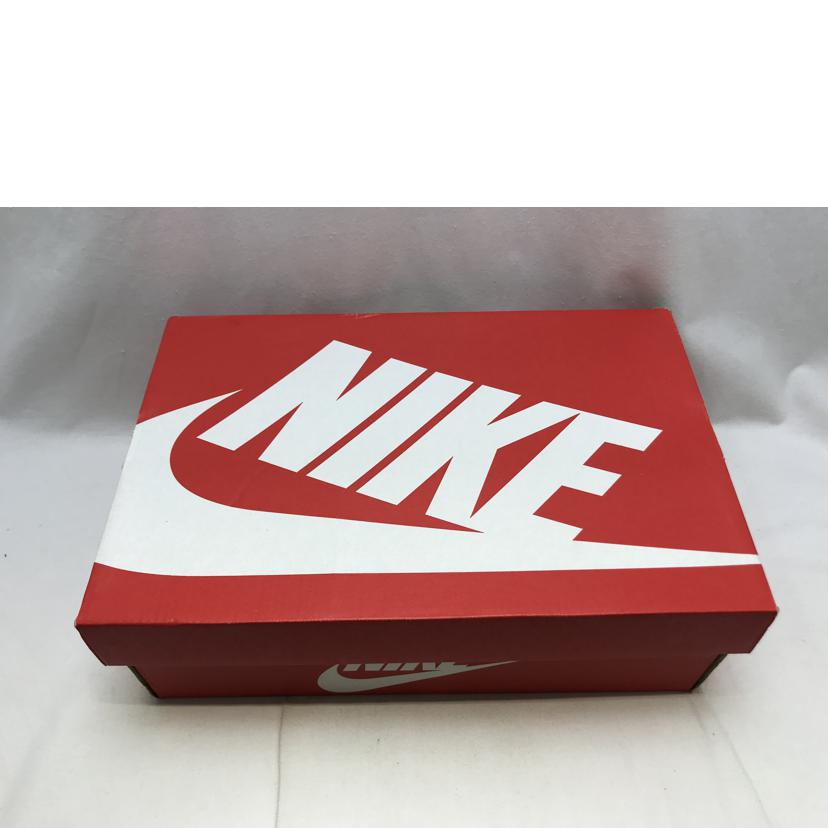 NIKE ナイキ/AIR MAX DN/DV3337-008//Aランク/51