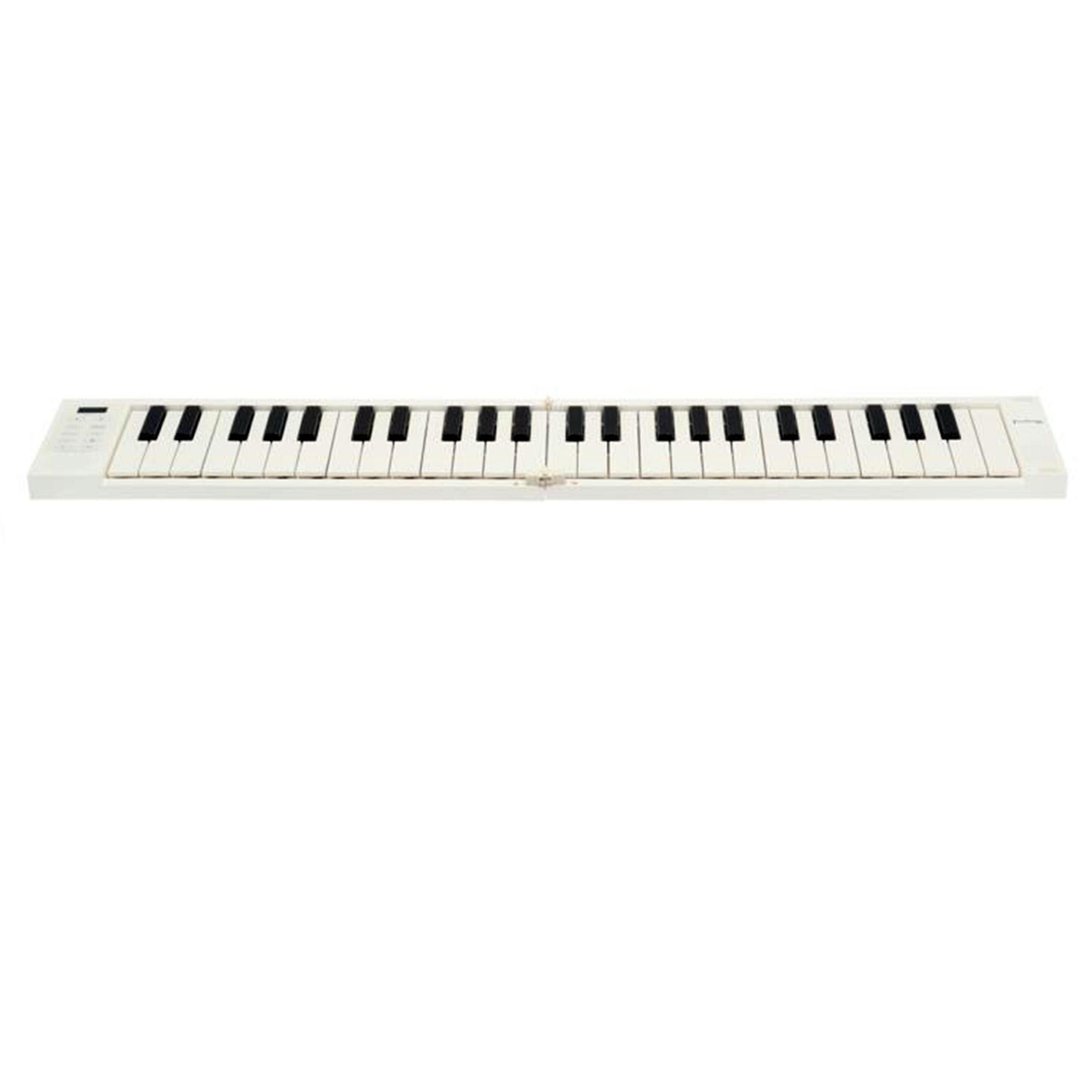 TAHORNG タホーン/折りたたみ電子ピアノ/ORIPIA 49//TH490210600655/Bランク/62