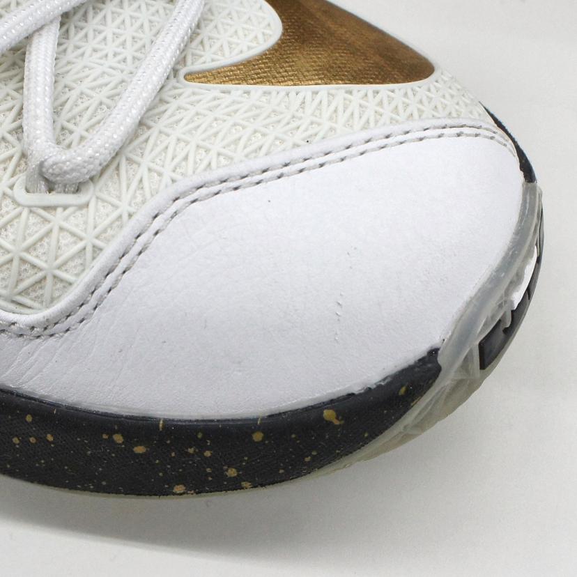 NIKE ナイキ/LEBRON 13 ELITE GOLD/831923-170//Aランク/09