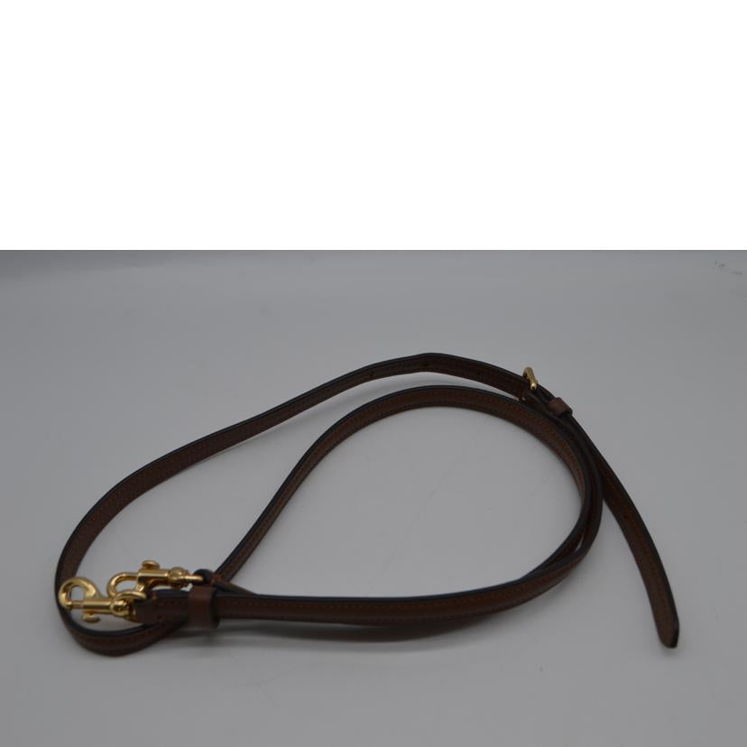 COACH コーチ/シグネチャーアンドレアミニキャリー2wayレザーハンド/CO975//K23**/SAランク/89