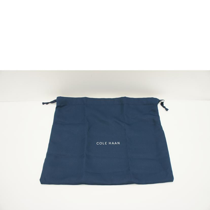 COLE HAAN コールハーン/ゴーエニウェアカメラバッグ/U07755//Sランク/75