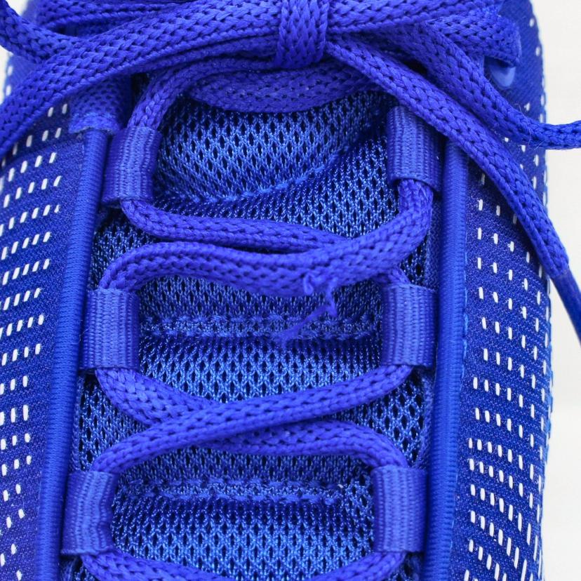 NIKE ナイキ/NIKE AIR MAX DN SE/HF5531-400//ABランク/70