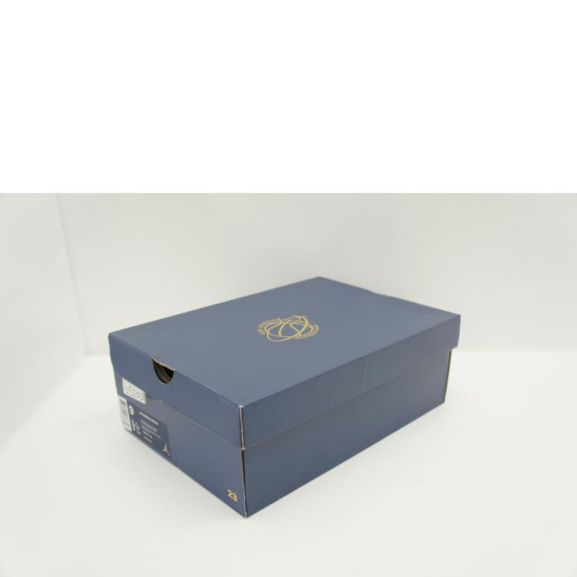 NIKE ナイキ/air jordan 3 retro/136064-140//Aランク/78