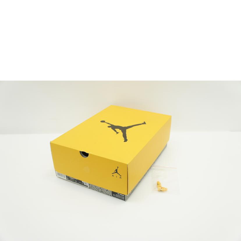 NIKE ナイキ/エアジョーダン6レトロ/イエローオークル/CT8529-170//Aランク/75