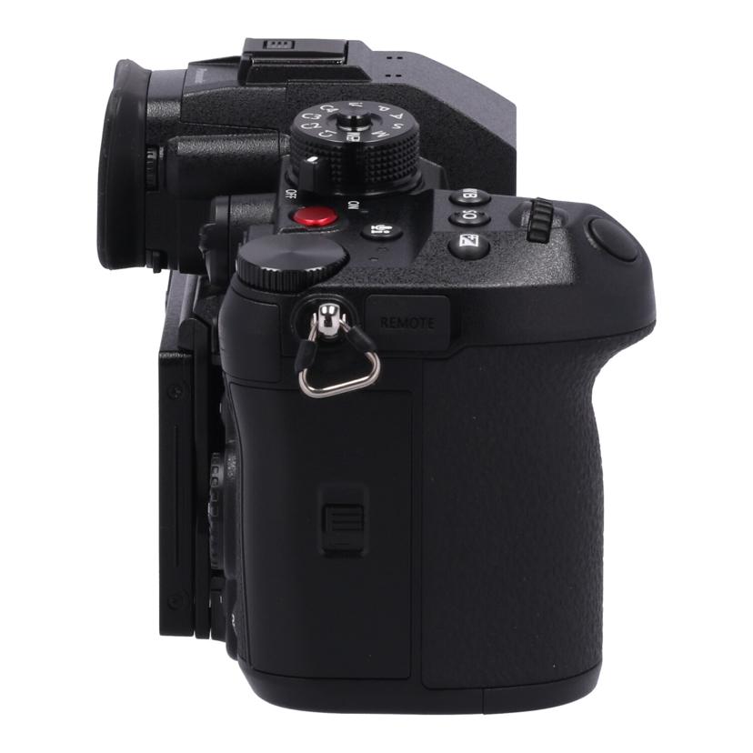 Panasonic パナソニック /ミラーレス一眼 ボディ/DC-GH6 ボディ//WG2AA006384/Aランク/84