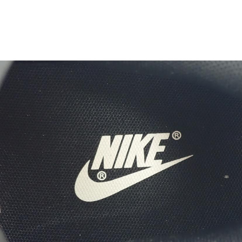 NIKE ナイキ/DUNK LOW RETRO PRM/DV7211-001//28.0cm/Sランク/62