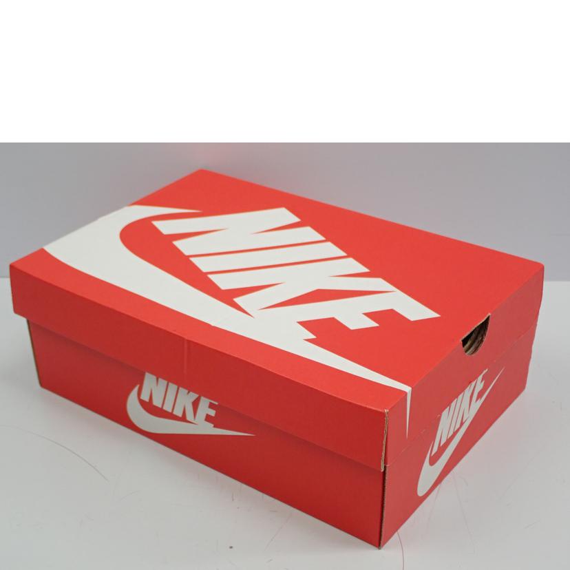 NIKE ナイキ/DUNK LOW RETRO PRM/DV7211-001//28.0cm/Sランク/62