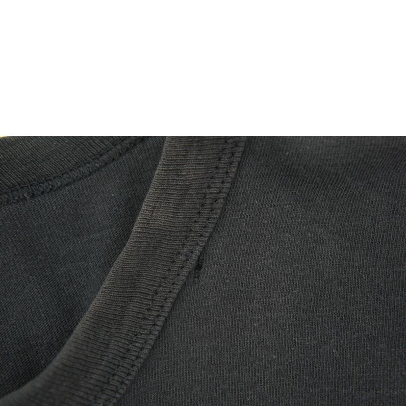 Champion チャンピオン/80'sトリコタグカレッジTシャツ//ABランク/09