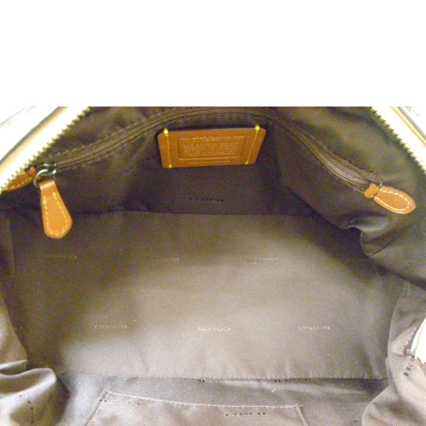 COACH コーチ/パイソン×レザー2WAYハンドバッグ/69622//M18**/Bランク/88