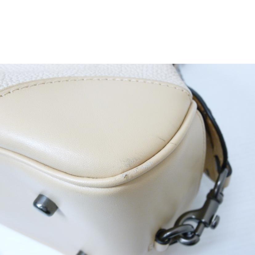 COACH コーチ/パイソン×レザー2WAYハンドバッグ/69622//M18**/Bランク/88