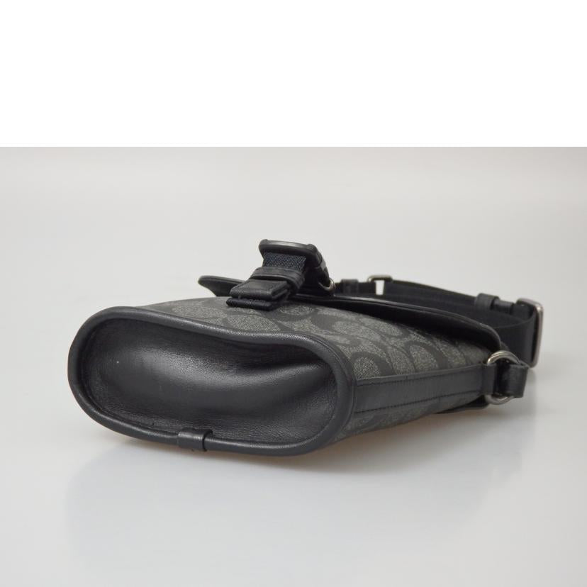 COACH コーチ/シグネチャーショルダーバッグ/C3134//L21**/ABランク/76