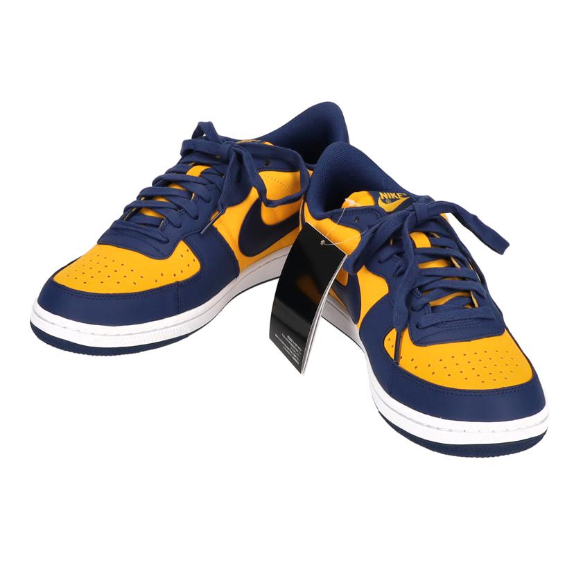 NIKE NIKE/NIKE TERMINATOR LOW OG 28.0/FJ4206-700//5000→6500/Aランク/67