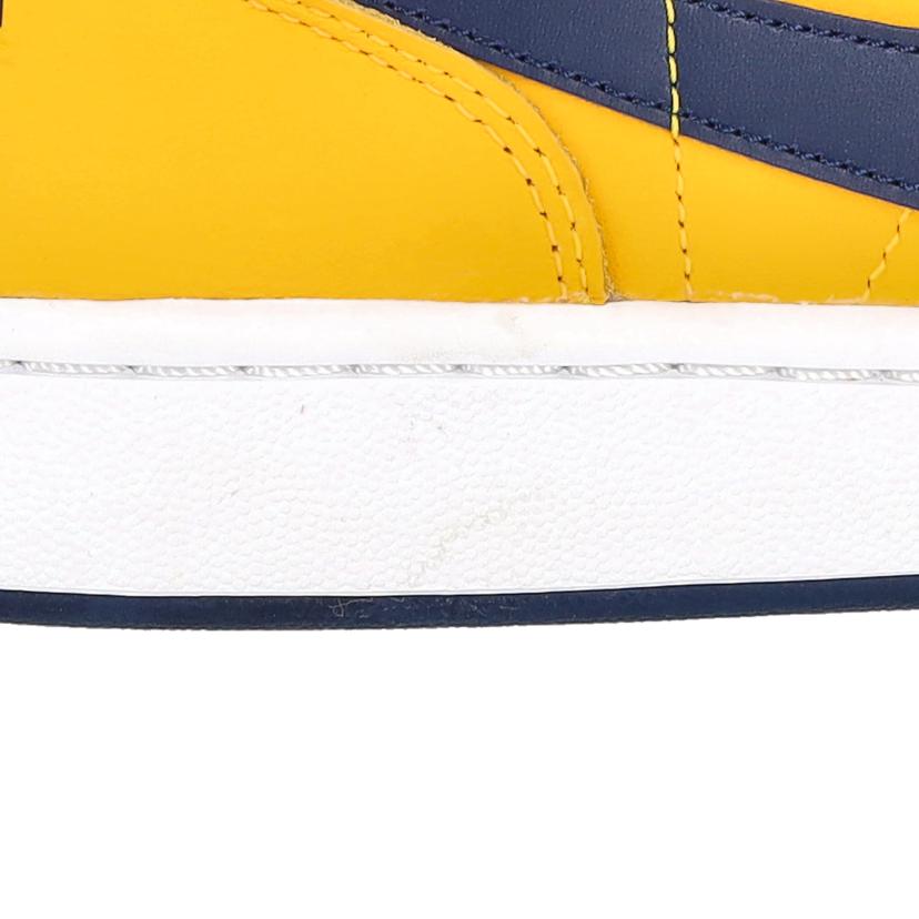 NIKE NIKE/NIKE TERMINATOR LOW OG 28.0/FJ4206-700//5000→6500/Aランク/67