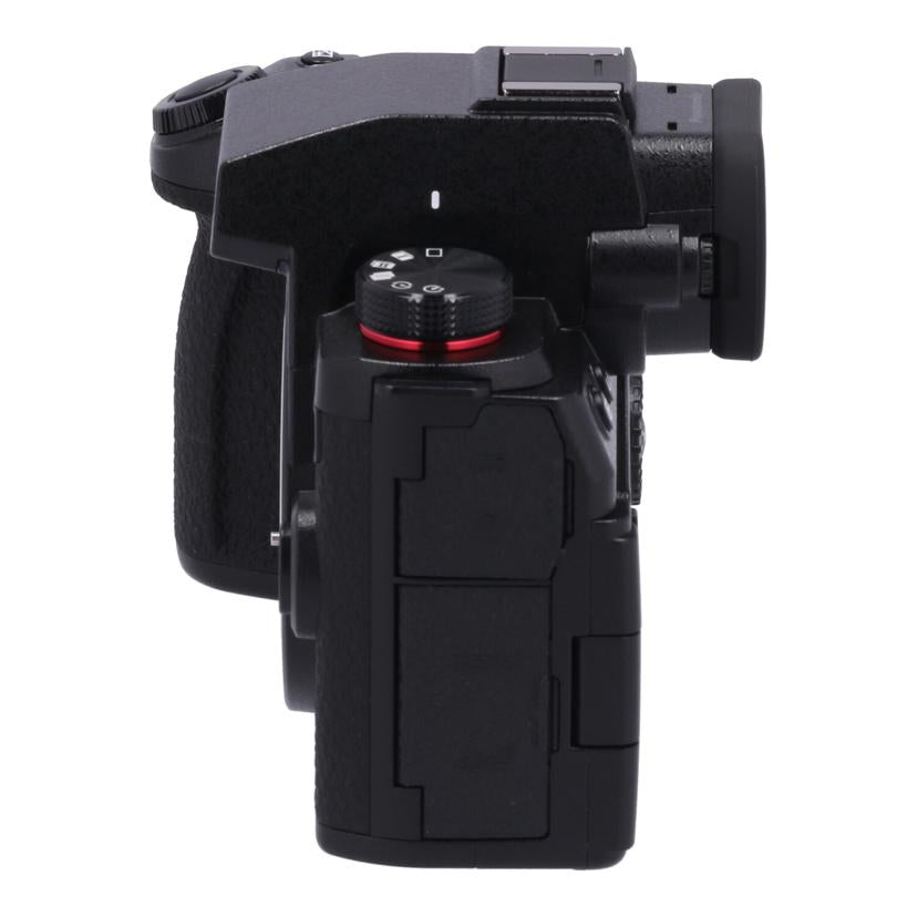 Panasonic パナソニック /ミラーレス一眼 ボディ/DC-G9M2 ボディ//WE3JA001371/Aランク/42