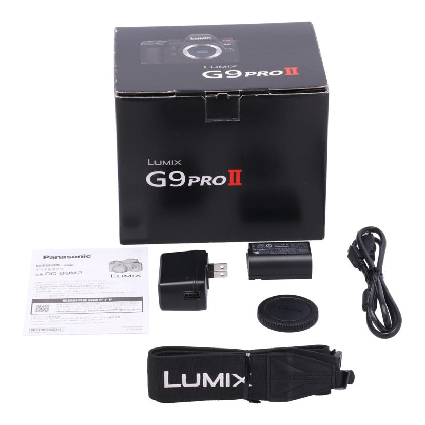 Panasonic パナソニック /ミラーレス一眼 ボディ/DC-G9M2 ボディ//WE3JA001371/Aランク/42