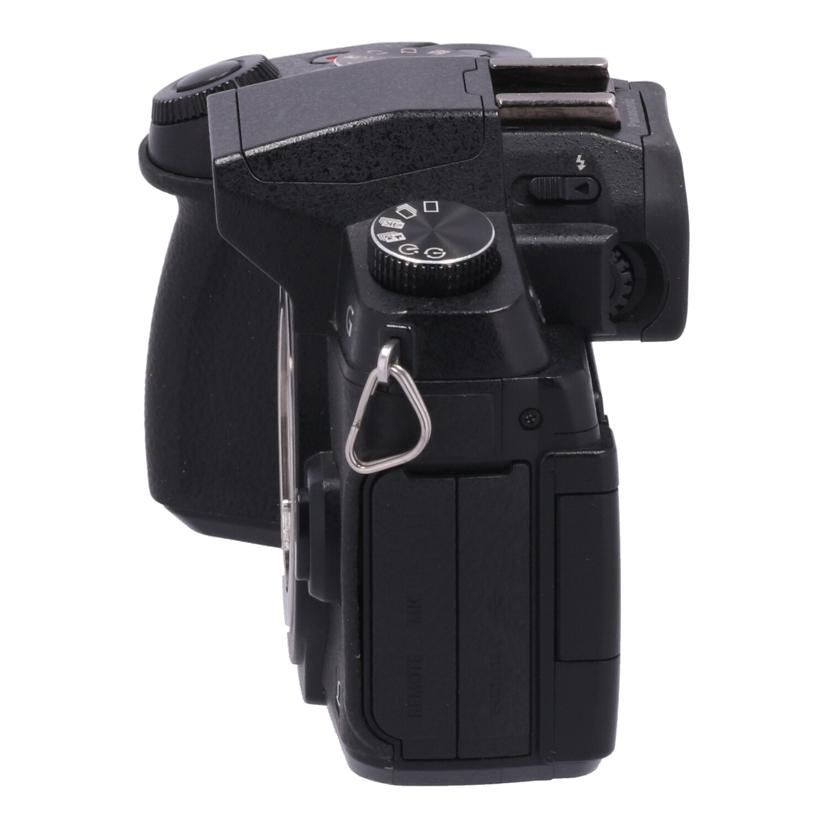 Panasonic パナソニック /ミラーレス一眼 ボディ/DMC-G8 ボディ//WE6SA003175/Cランク/05