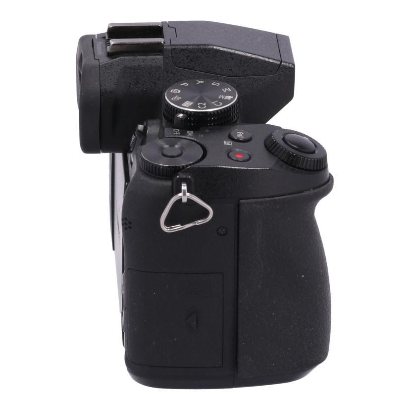 Panasonic パナソニック /ミラーレス一眼 ボディ/DMC-G8 ボディ//WE6SA003175/Cランク/05