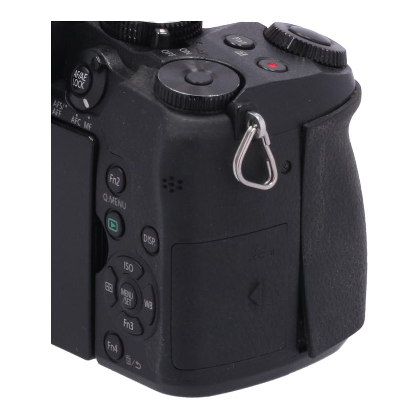 Panasonic パナソニック /ミラーレス一眼 ボディ/DMC-G8 ボディ//WE6SA003175/Cランク/05