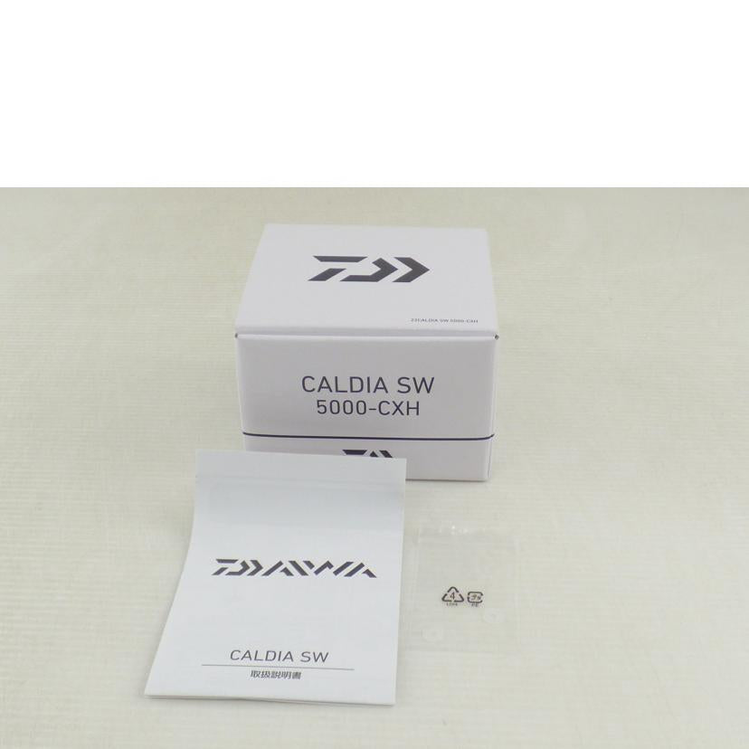 Daiwa ダイワ/CALDIA SW 5000-CXH/00065170//Aランク/64