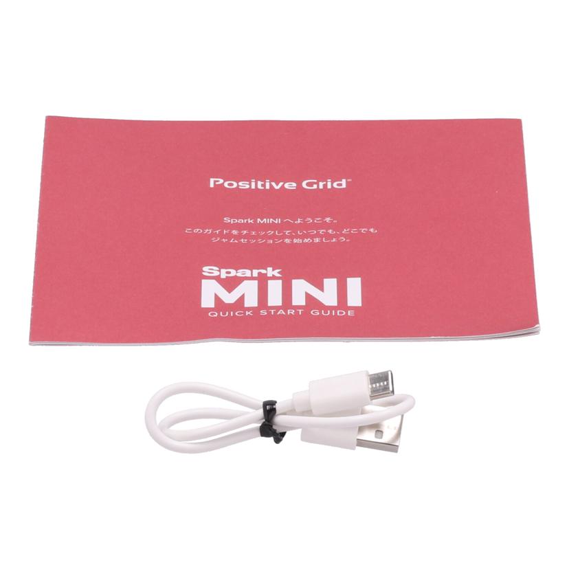 Positive Grid ポジティブグリッド /ポ-タブルギターアンプ/Spark MINI/Spark MINI//S1011G128031518/ABランク/70