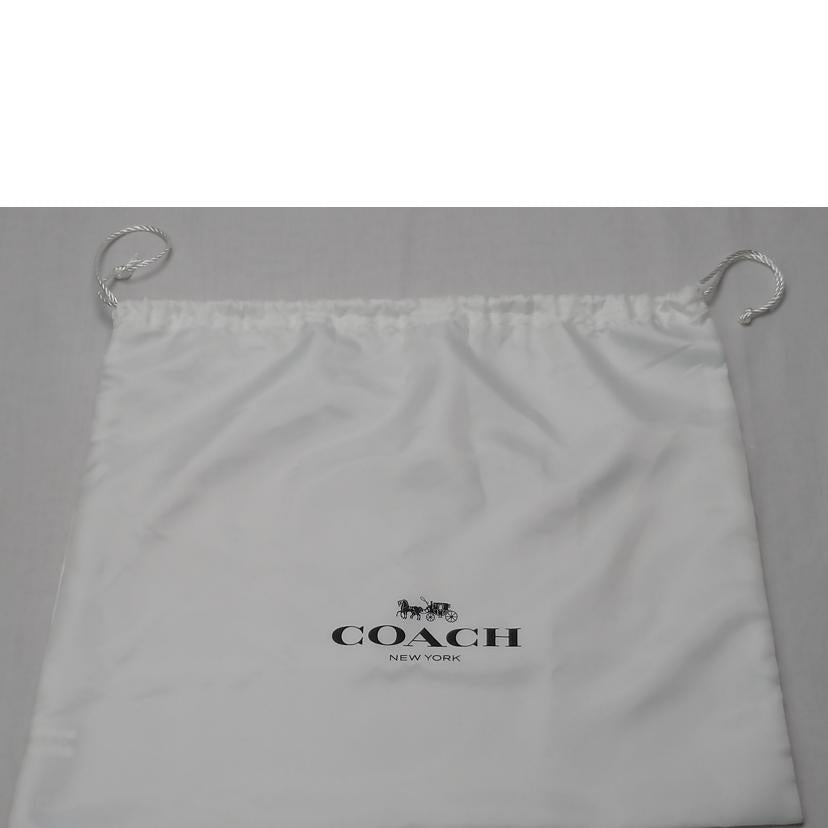 COACH コーチ/ブルックリン23/CW614//M24**/Aランク/52