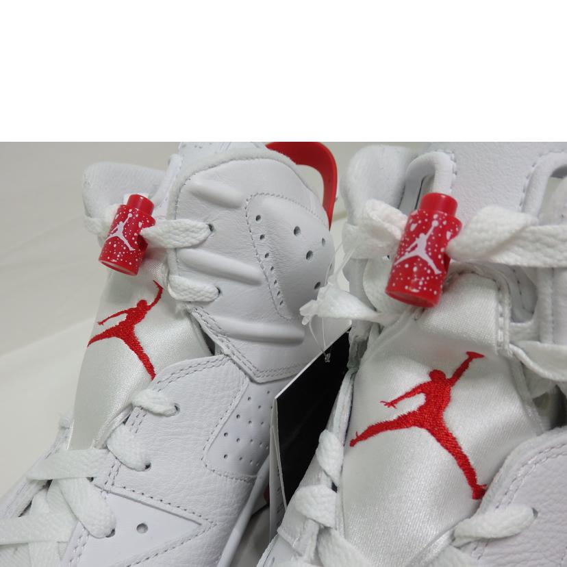 NIKE ナイキ/AIR JORDAN6/27.0cm/CT8529-162//Sランク/84