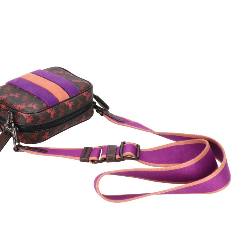 COACH コーチ/馬車ロゴ/カメラポーチ/ショルダーバッグ/79368//J19**/Aランク/91