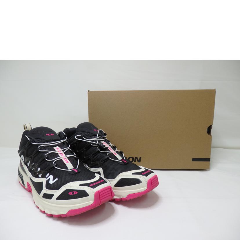 SALOMON サロモン/SALOMON メンズシューズ/29.0cm/474365//ABランク/84