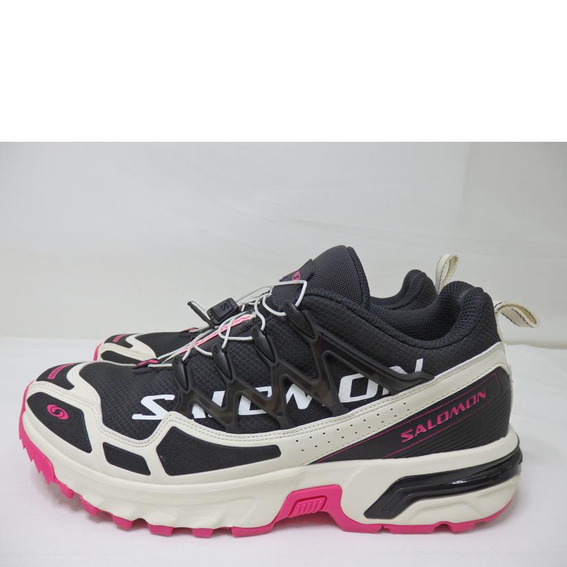 SALOMON サロモン/SALOMON メンズシューズ/29.0cm/474365//ABランク/84