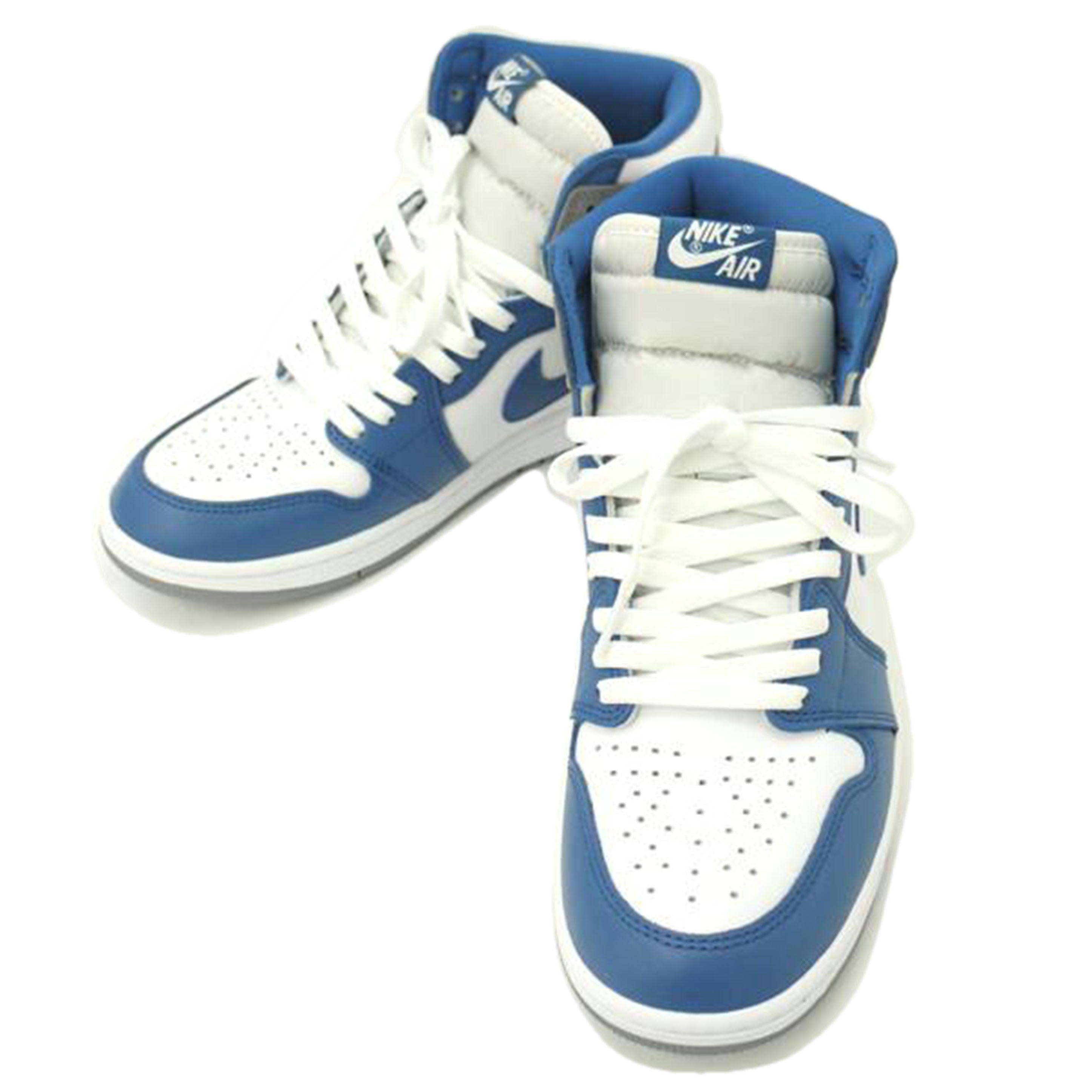 NIKE ナイキ/NIKE AIR JORDAN 1 RETRO/DZ5485-410//Sランク/69