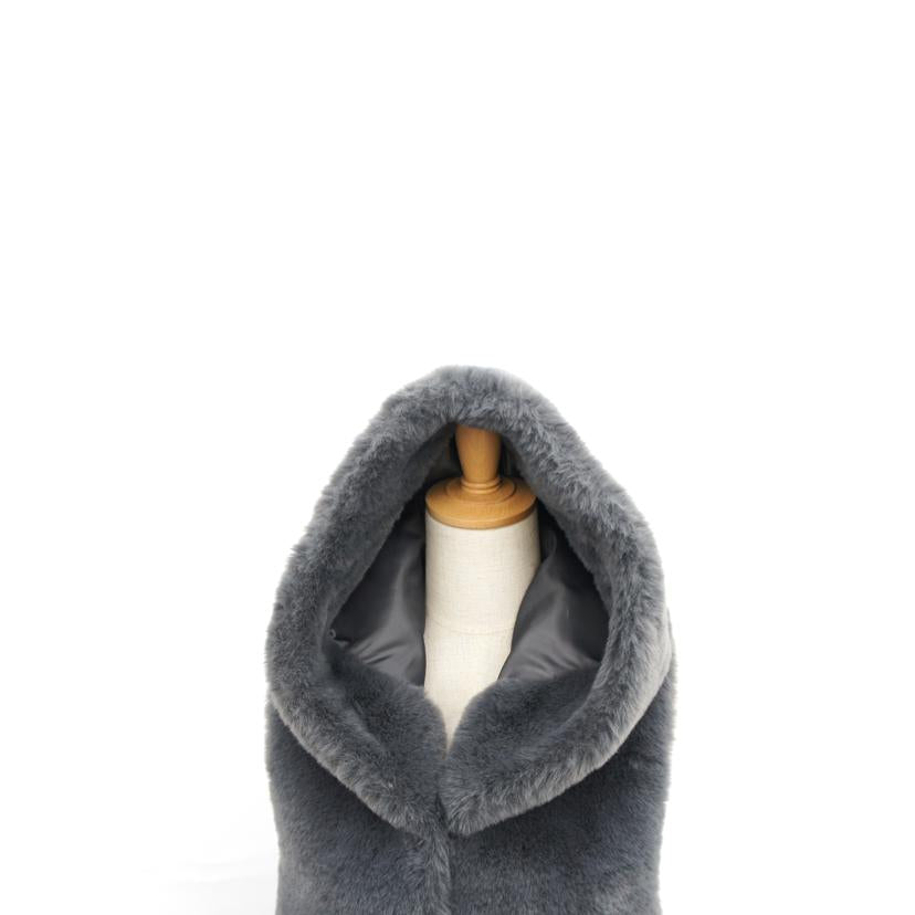 PASSIONE パシオーネ/エコファーベスト//Aランク/75