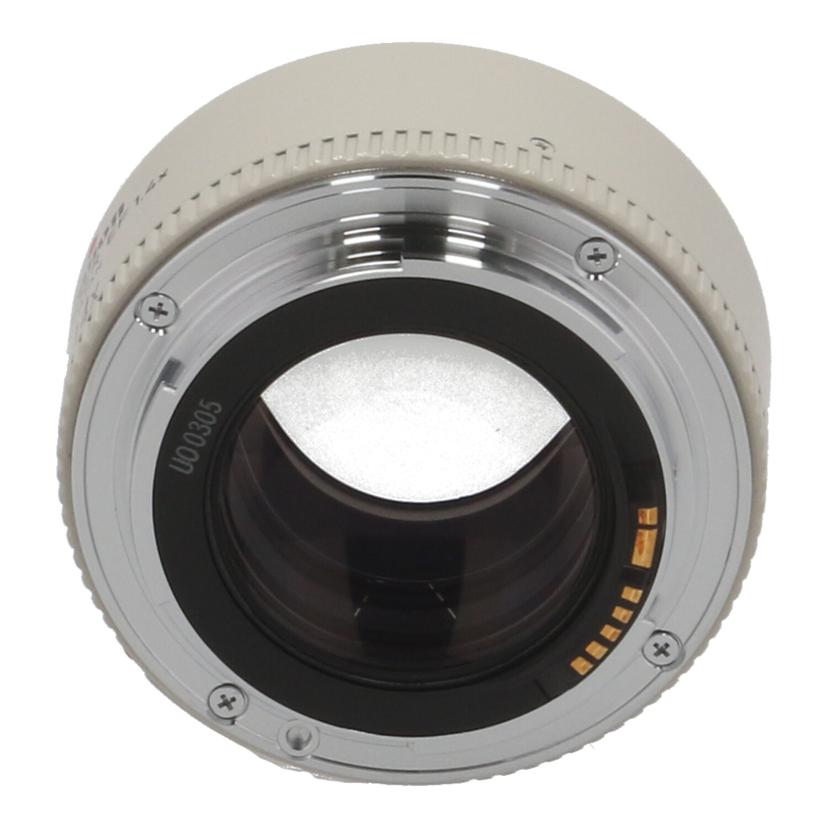 Canon キヤノン /エクステンダー1.4X/EXTENDER EF 1.4X//65518/Bランク/42