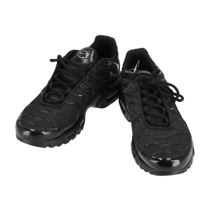 NIKE ナイキ/NIKE Air Max Plus /604133-050//ABランク/70