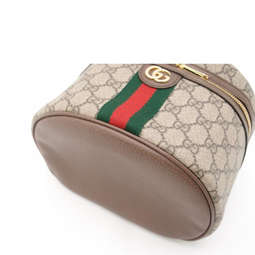 GUCCI グッチ/オフィディアバニティバック/ブラウン/611001//214*/SAランク/69