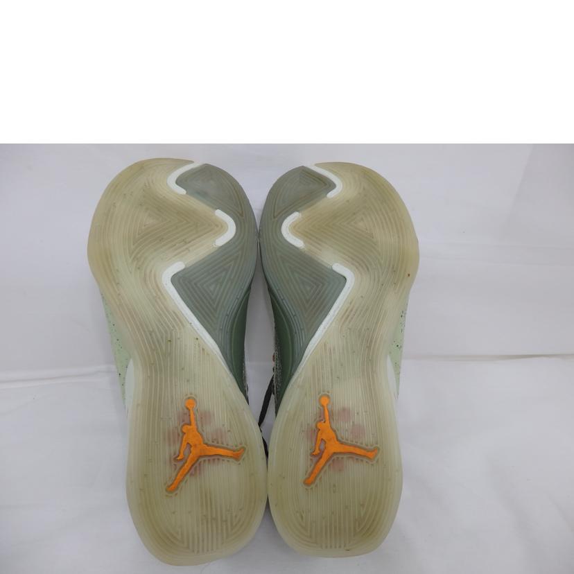 NIKE ナイキ/JORDAN LUKA 2 PF/26.0cm/DX9034-308//ABランク/84